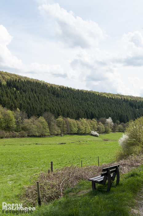 Bench overlooking green landscape